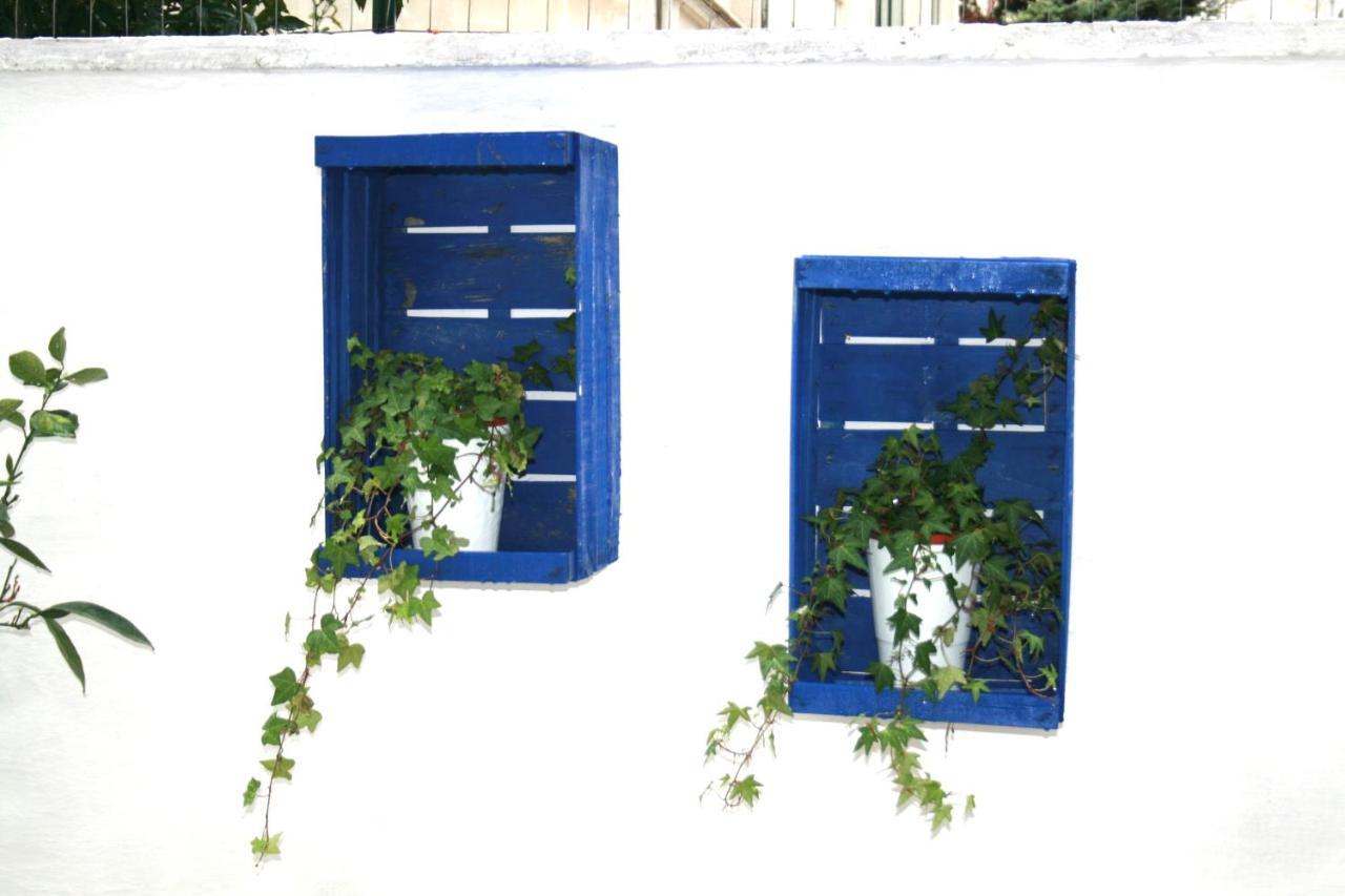 Willkommen In Einem Private Garden Bari Zewnętrze zdjęcie