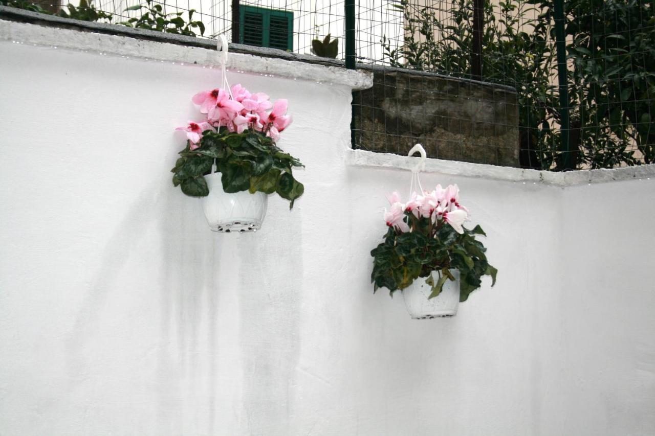 Willkommen In Einem Private Garden Bari Zewnętrze zdjęcie