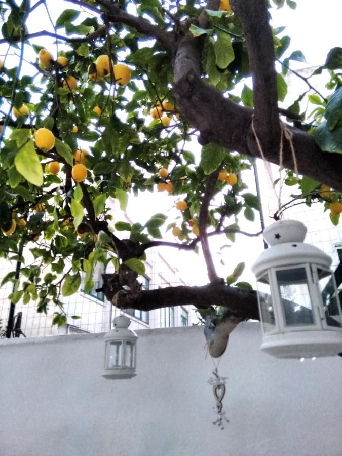 Willkommen In Einem Private Garden Bari Zewnętrze zdjęcie