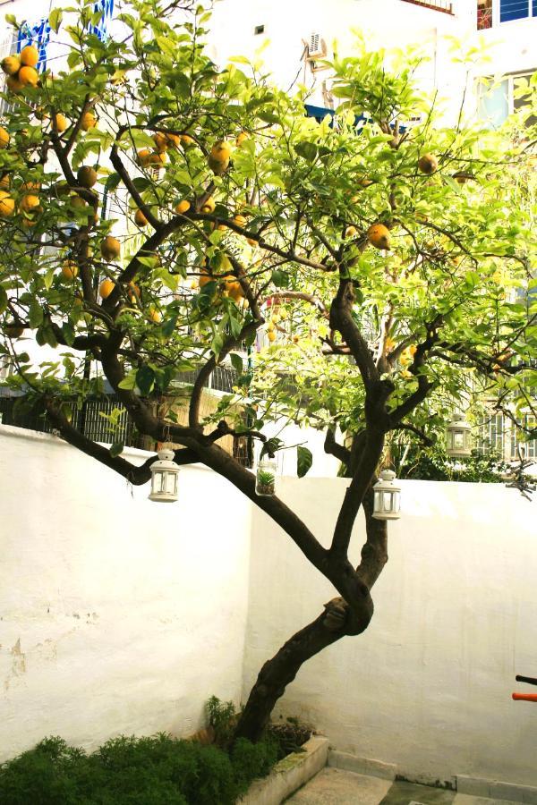 Willkommen In Einem Private Garden Bari Zewnętrze zdjęcie